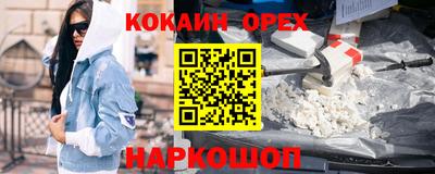 крисы Ливны