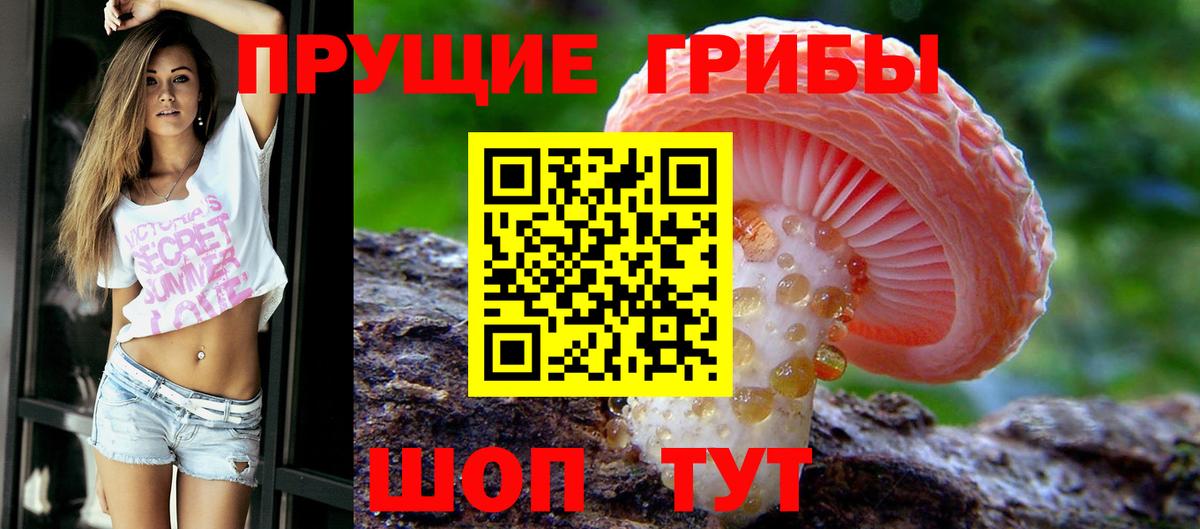Грязи  Галлюциногенные грибы Cubensis  Галлюциногенные грибы Magic Shrooms  Вход с VPN 